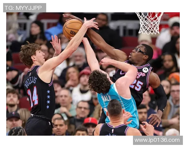 公牛与黄蜂激战全场精彩回放11月24日比赛精彩瞬间回顾