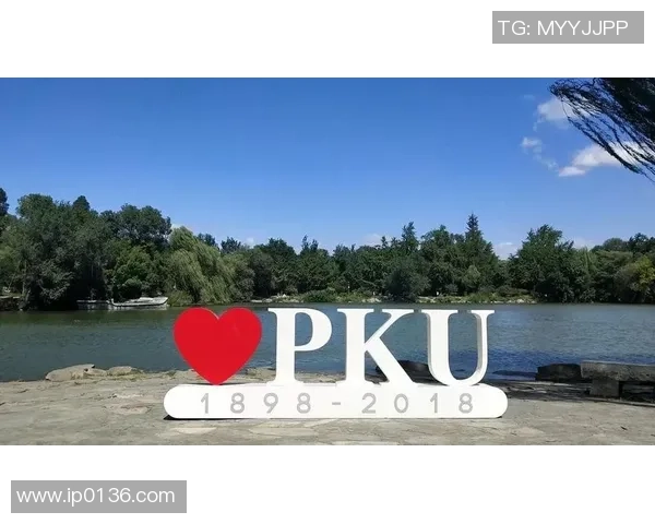 对话陈芳：回顾我的网球生涯与成长历程分享MBA