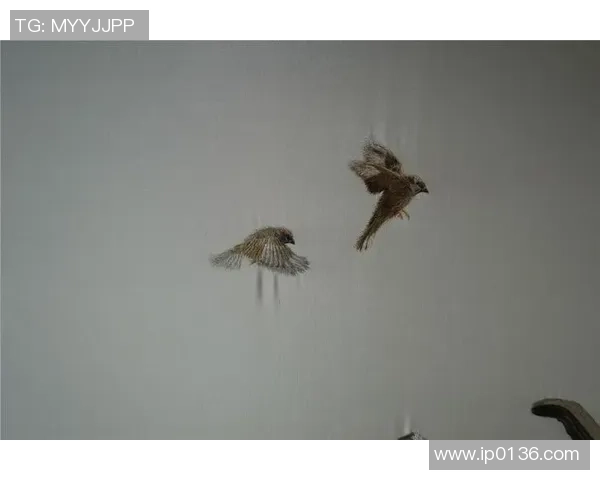 崔永熙的艺术之路与人生哲学探讨:从初心到巅峰的心路历程 崔永熙的艺术之路与人生哲学探讨:从初心到巅峰的心路历程